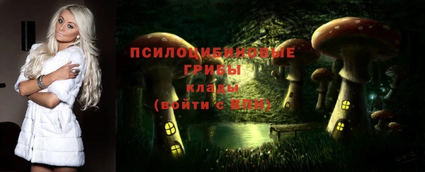бутик Бородино